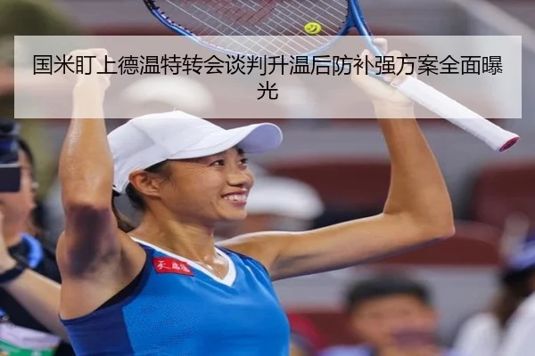 国米盯上德温特转会谈判升温后防补强方案全面曝光（AITIYU.COM）