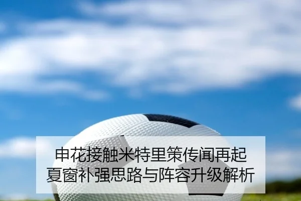 申花接触米特里策传闻再起 夏窗补强思路与阵容升级解析（AITIYU.COM）