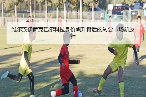 维尔茨伊萨克巴尔科拉身价飙升背后的转会市场新逻辑（AITIYU.COM）